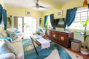 تلفزيون، مشغل دي في دي