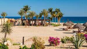 Une plage bordée de palmiers, avec des chaises longues et un restaurant doté d’une terrasse.