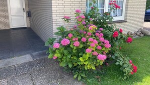 A house with a brick exterior, a white door, and a window with pink flowers. - 5060 Saarstr. 8a, Deutschland (Dahme)