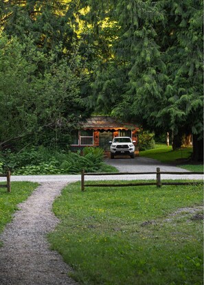 Property grounds - The Lily Pad - rustic cabin for 2+pets, mountain view, river access (Gold Bar)