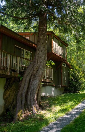Exterior - Tree Frog Terrace - mountain trail w/ views, river access, 4+pets (Gold Bar)