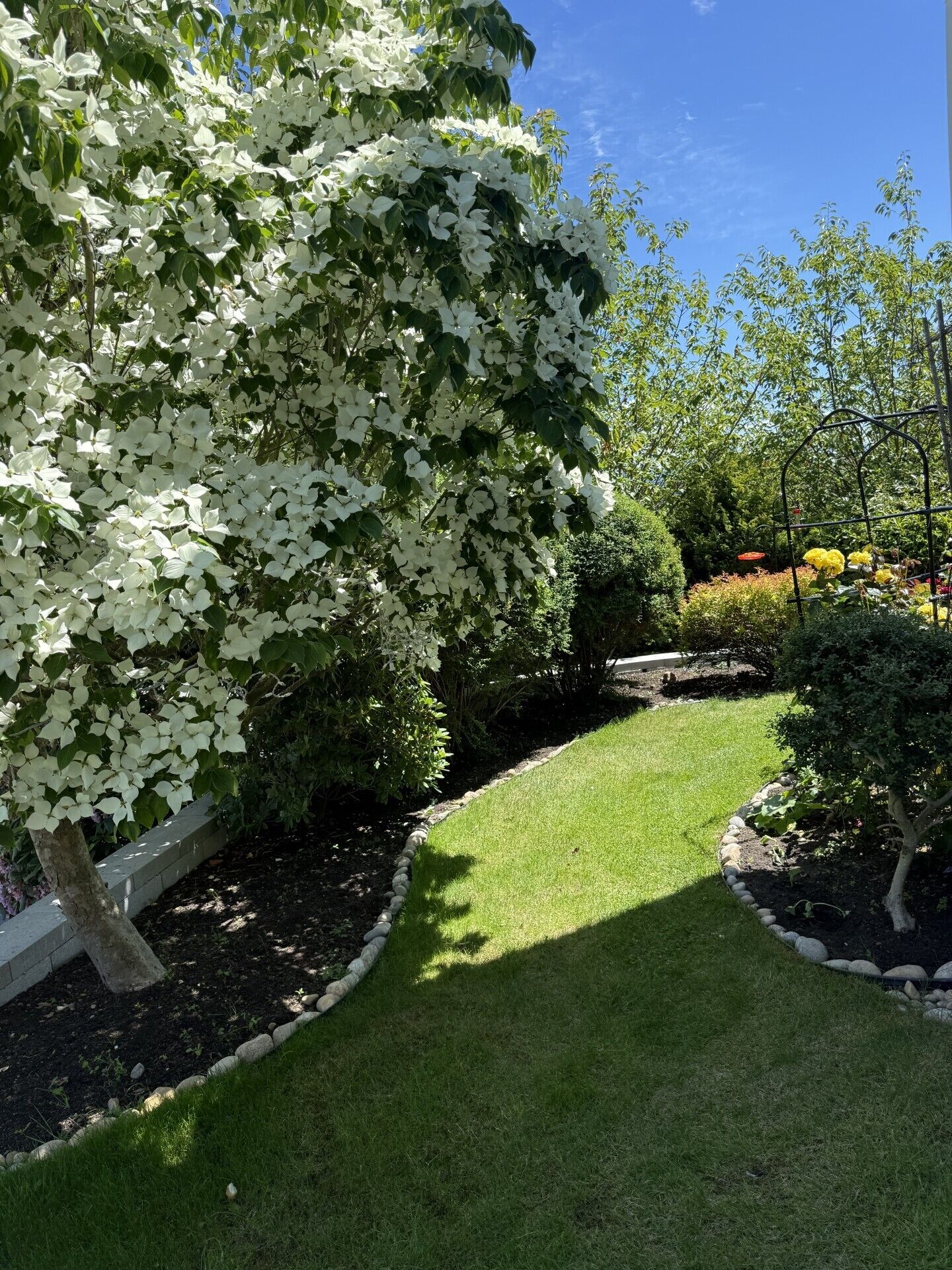 A garden with a well-maintained lawn, a stone pathway, and various shrubs and trees.