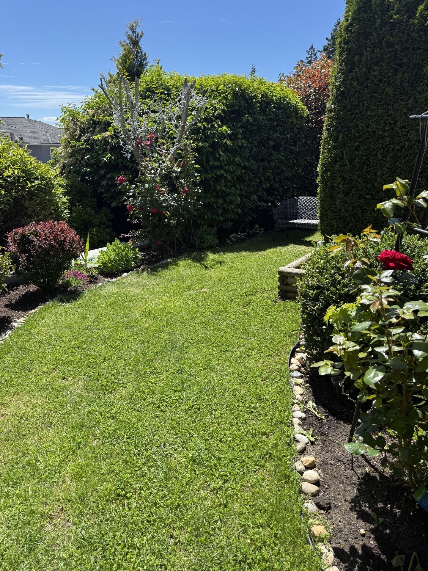 A well-maintained garden with a variety of plants and a neatly trimmed lawn.