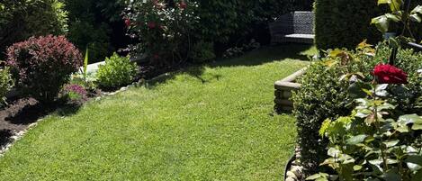 A well-maintained garden with a variety of plants and a neatly trimmed lawn.