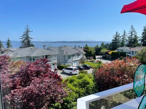 Interior - Full advantage of 180 degree PANORAMIC view of OCEAN & MOUNT BAKER (White Rock)