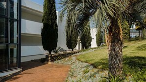 Ein modernes Gebäude mit Glasfassade, einem gepflasterten Weg und einem angelegten Garten mit verschiedenen Pflanzen und einem Palmenbaum.
