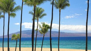 Una spiaggia con palme e una vista limpida sull'oceano.