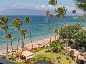 A beach with palm trees, a clear view of the ocean, and a small pool.