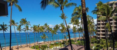 Una spiaggia nelle vicinanze