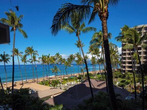 On the beach - Kaanapali Alii Residence 341 (Lahaina)