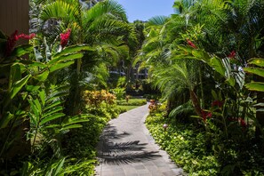 Stroll through lush gardens, surrounded by palm trees and vibrant flowers, along a tranquil pathway.