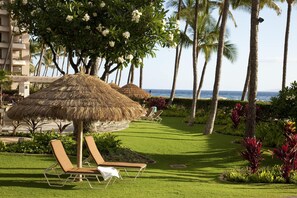 Relax amidst lush greenery and palm trees, with the ocean visible in the background.