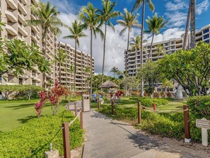 Property grounds - Walk to the Beach - Kaanapali Alii 371 (Lahaina)