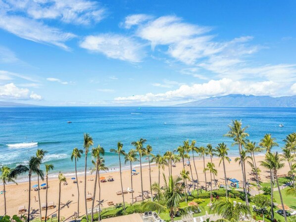 On the beach - 1 Bedroom Ocean View - Platinum (Lahaina)