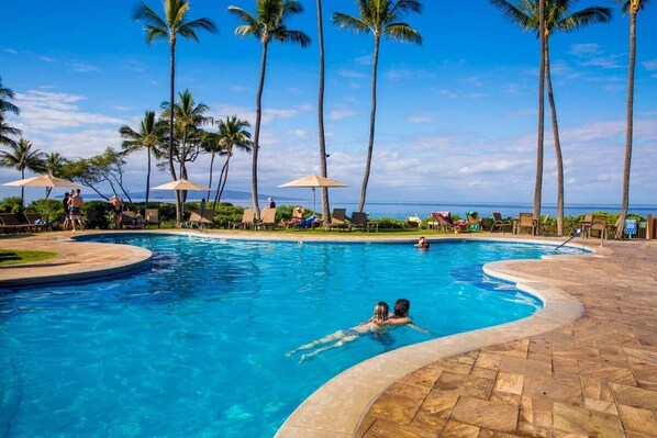 Relax by the oceanfront pool surrounded by palm trees and lounge chairs.