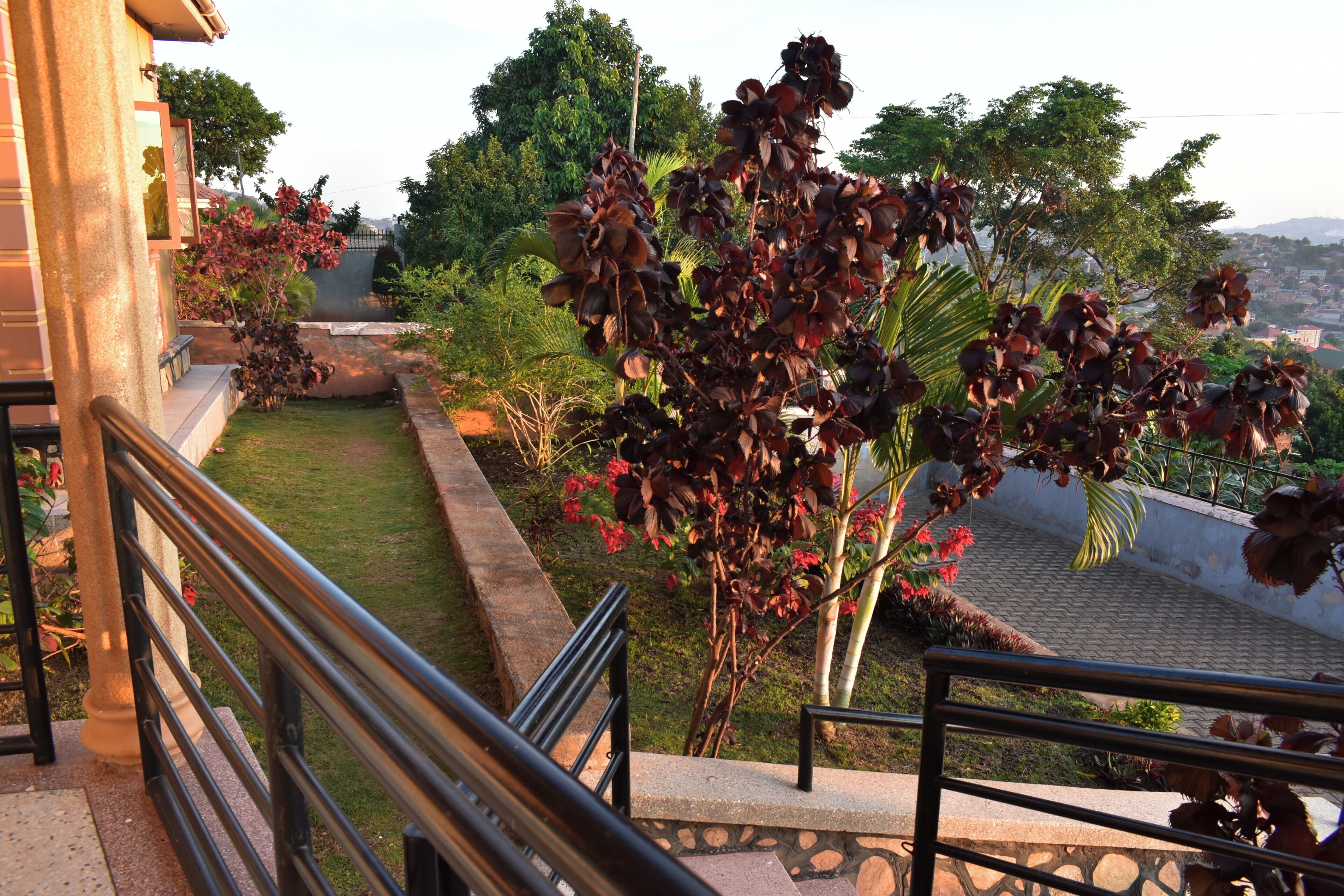 Terrein van de accommodatie