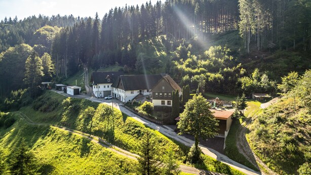 A house surrounded by a forested hillside with a road leading to it.