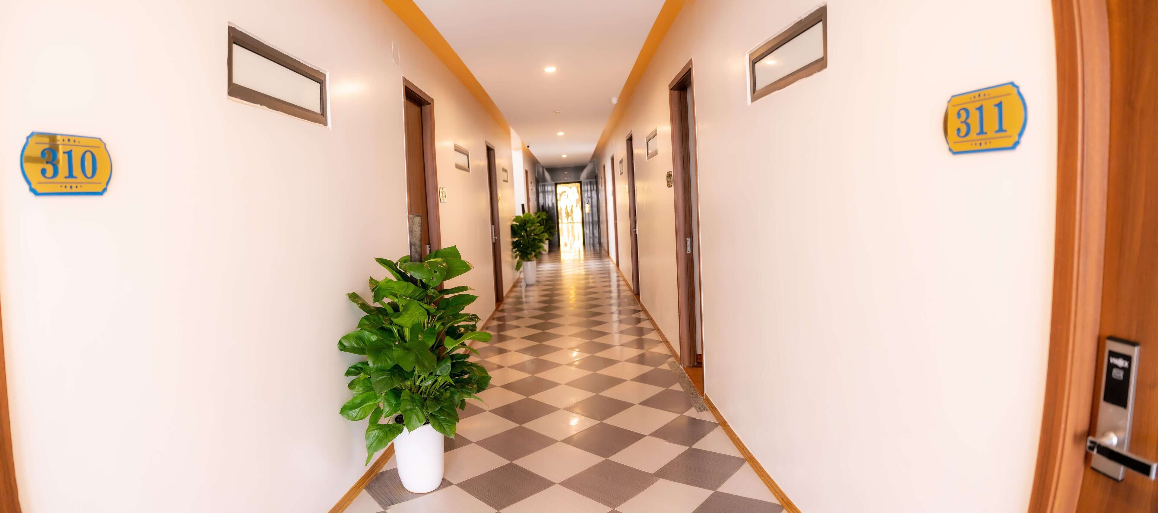 A hotel corridor with checkered flooring, potted plants, and door signs indicating room numbers.