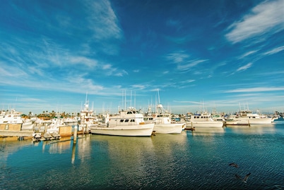 Serene 4-Bedroom Home | Greenery Views | Pets OK