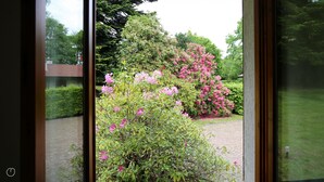 Ein Garten mit rosa Blumen und grünem Blattwerk.