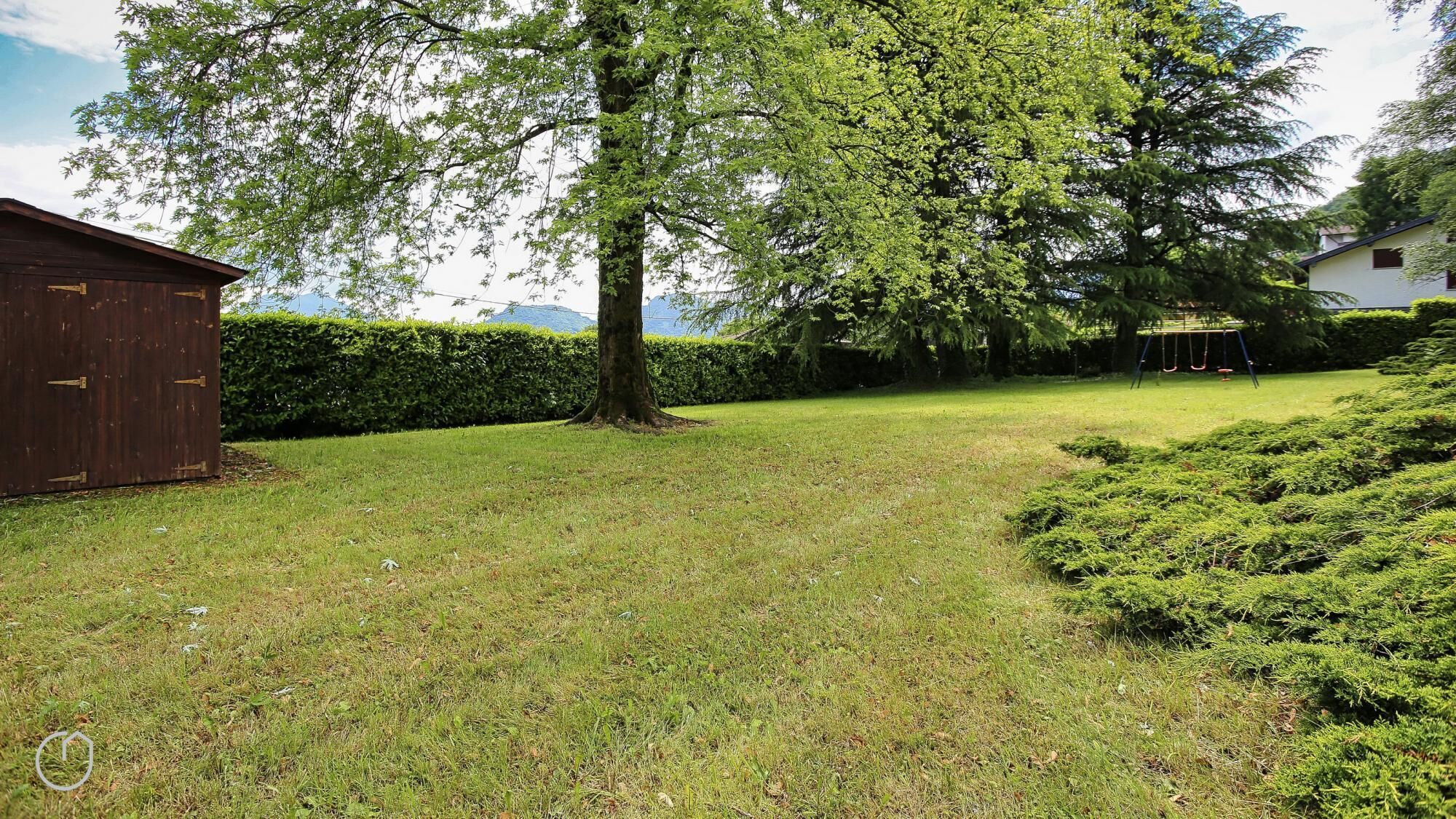 A grassy yard with a large tree, a wooden shed, and a house in the background.