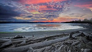 A beach with driftwood in the foreground and a sunset over the water. - Beach Access, Chef’s Kitchen, Rain Shower, Peloton (Camano)