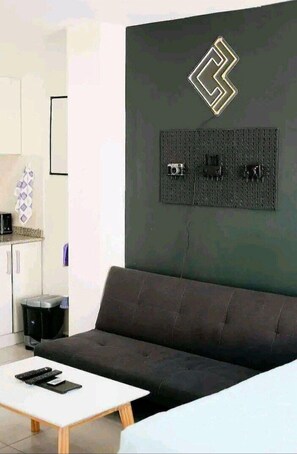 Living area - exclusive apartment in center (Ushuaia)