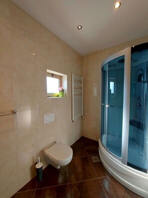 Shower, hair dryer, towels