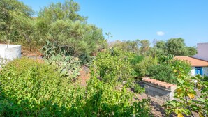 Ein Garten mit verschiedenen Pflanzen und Bäumen, eine Steinmauer und ein Gebäude mit rotem Dach.