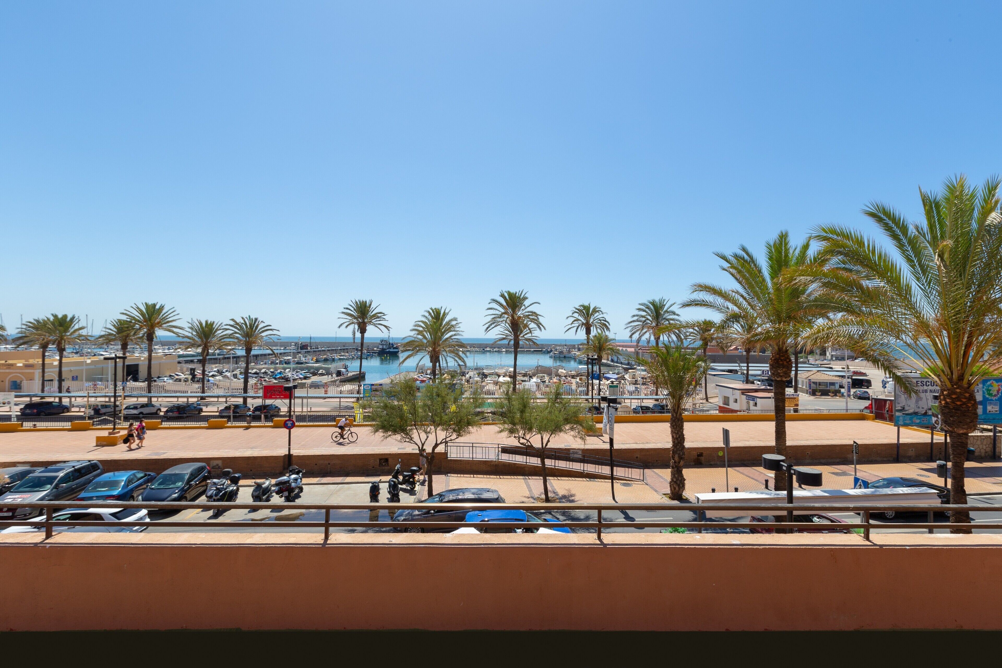 A coastal view with parked cars, palm trees, and a marina.