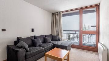 电视、DVD 播放器