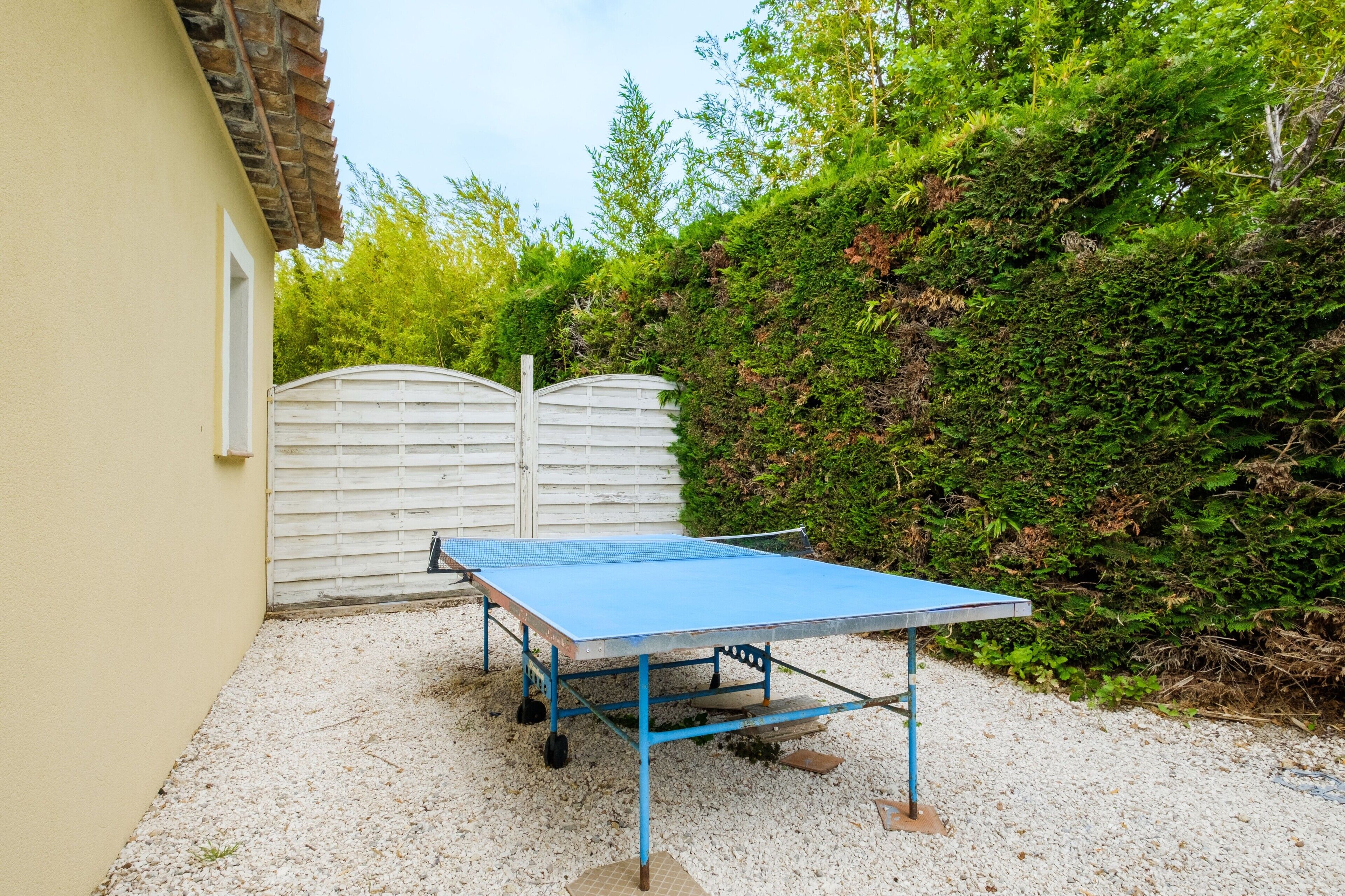 A ping pong table in a garden area with a white fence and greenery in the background.