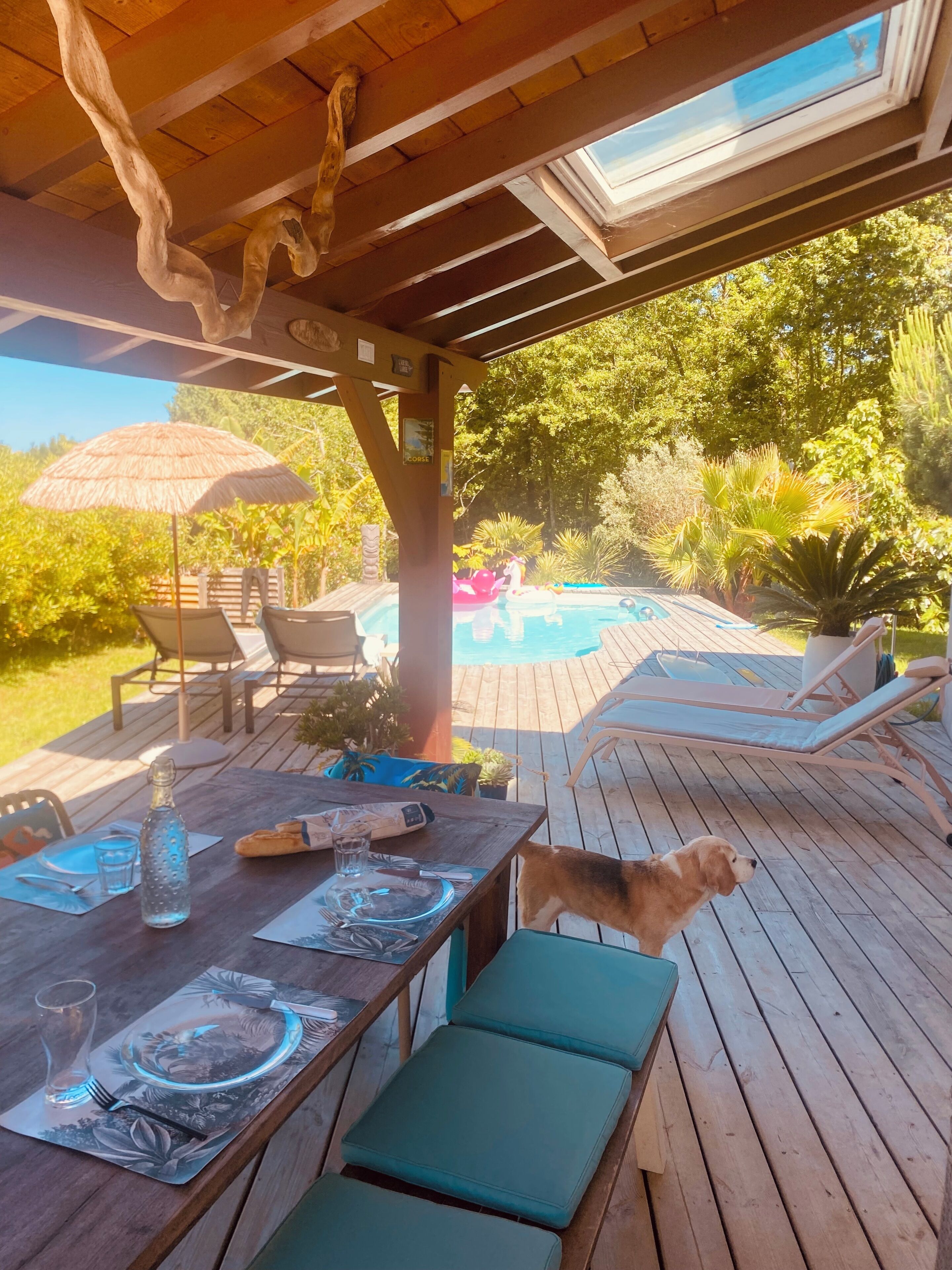 Une terrasse extérieure équipée d’une table à manger, de chaises longues et d’une piscine.