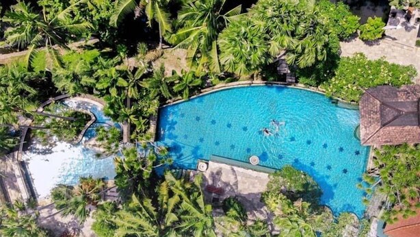 Eine Vogelperspektive auf ein Schwimmbecken, umgeben von üppiger Vegetation und Palmen.