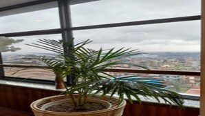 A potted plant on a balcony with a city view through a large window. - MeroStay 137 Hotel Eye (Lalitpur)