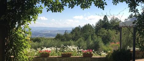 المنطقة المحيطة بالمنشأة