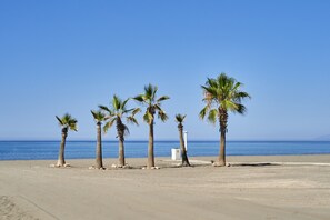 A beach with palm trees and a clear sky. - Studio Apartment "Lintras" with Shared Pool & Wi-Fi (Torrox)