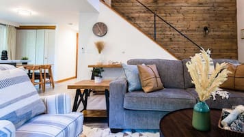 Smart TV, fireplace, books