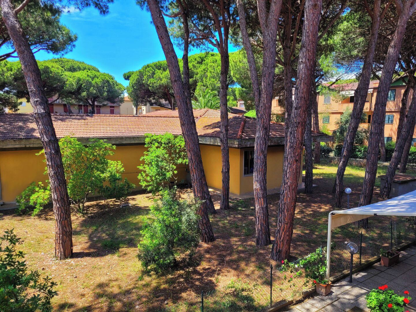 A courtyard with tall trees, a yellow building, and a covered seating area.