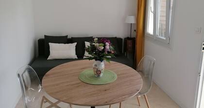 Studio Centre Saint Marc sur Mer