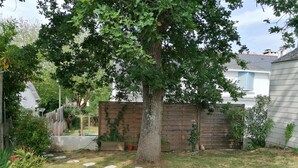 A backyard with a large tree, a wooden fence, and a grassy area with stepping stones.
