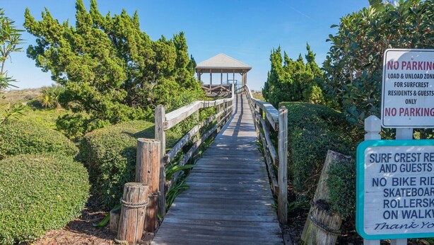 Une promenade en bois mène à un belvédère, entouré d’une végétation luxuriante et surplombé d’un ciel bleu clair.