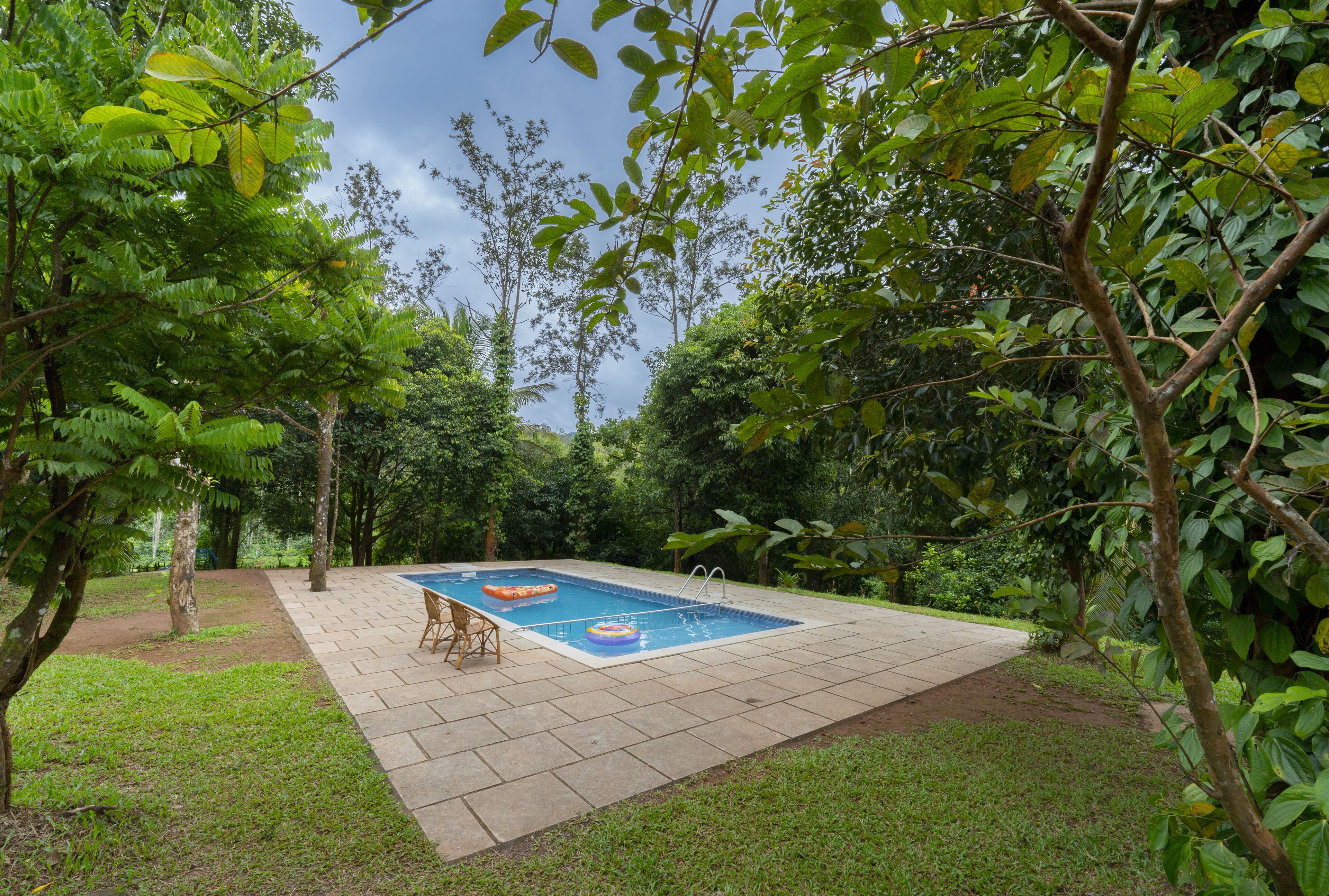 A rectangular swimming pool with a tiled deck, surrounded by lush greenery and trees.