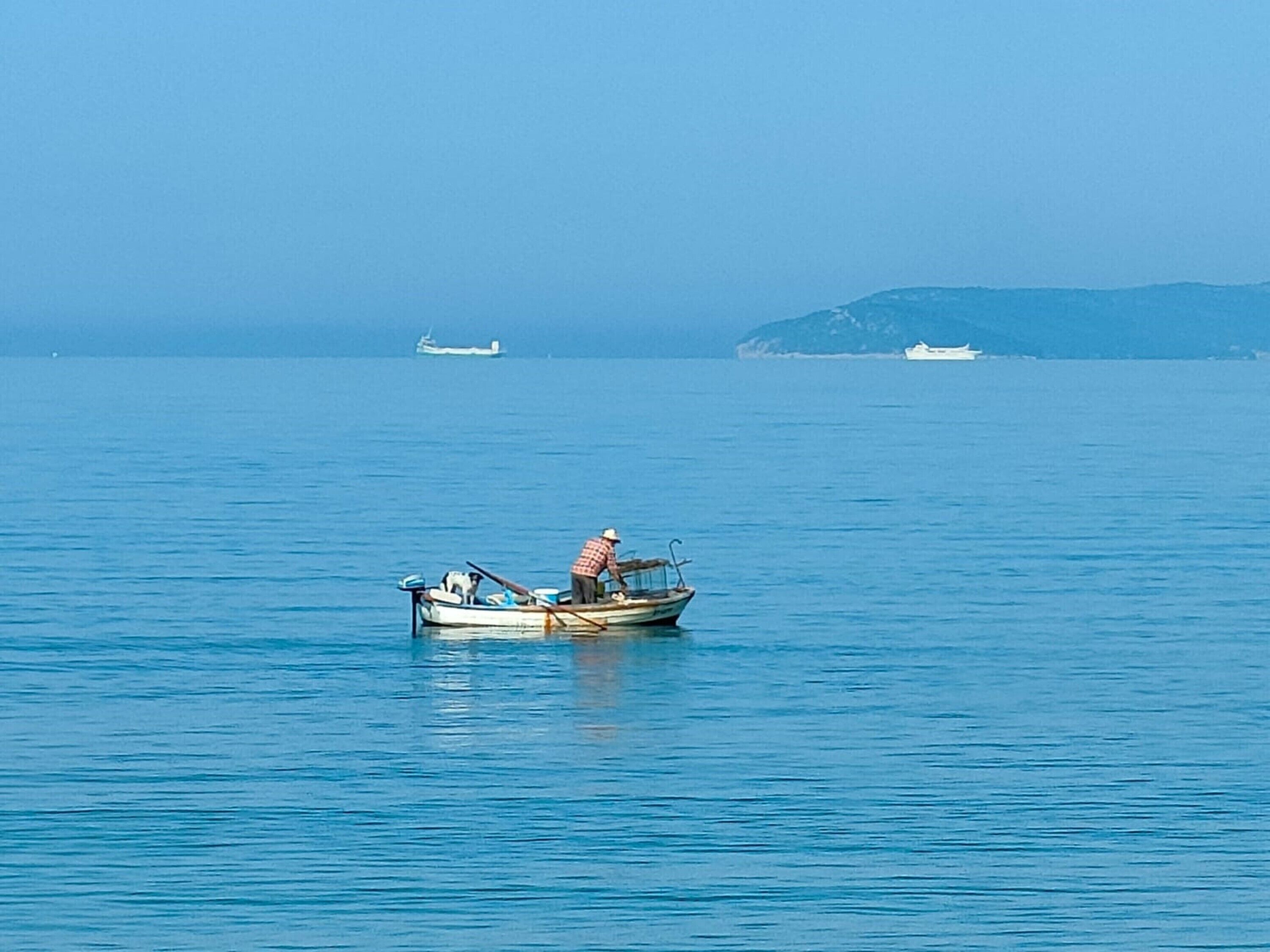 A calm sea with a small boat carrying a person and a dog.