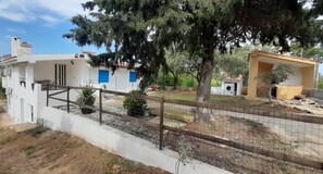 A residential property with a fenced yard, a white building with blue doors, and a tree. - Vacation home 180 mt from the sea, ideal with dogs (Tertenia)