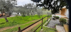 A garden with a wooden fence, a gravel path, and trees.