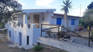 A white building with blue doors, a fenced garden area with plants, and a palm tree. - Vacation home 180 mt from the sea, ideal with dogs (Tertenia)