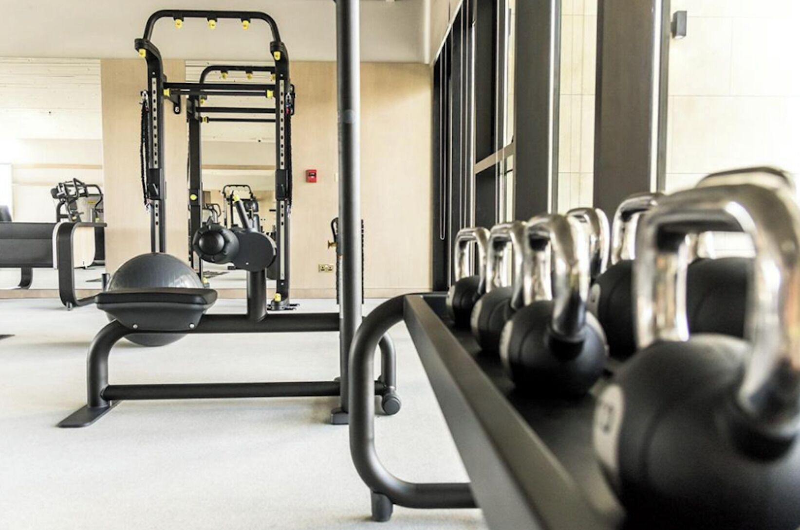 A gym with exercise equipment, including a squat rack, dumbbells, and a bench.