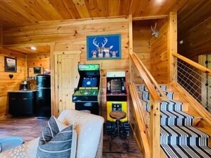 TV, fireplace, video games, DVD player