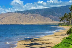 Ranta, jonka taustalla kohoaa vuori, ja siellä on palmuja sekä kirkas taivas.
